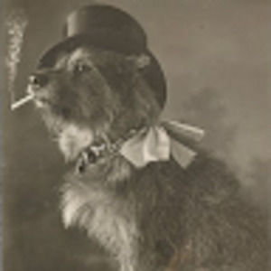 Meet your Posher, Annie